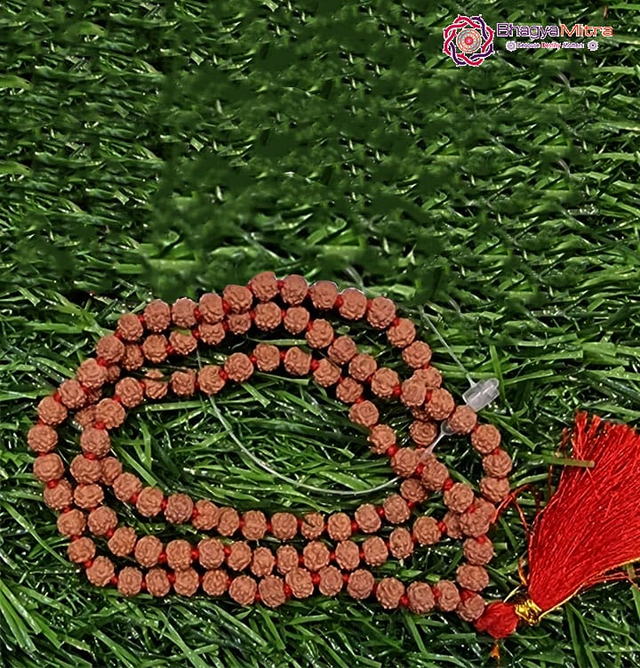 5 Face Rudrakash Mala 5Mm 108 Beads